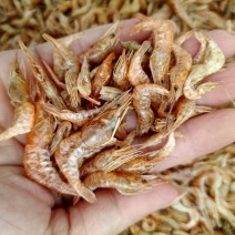虾干淡水虾干晒虾颜色好干度靓