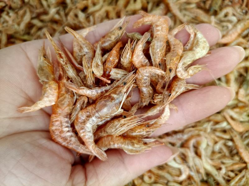 虾干淡水虾干晒虾颜色好干度靓