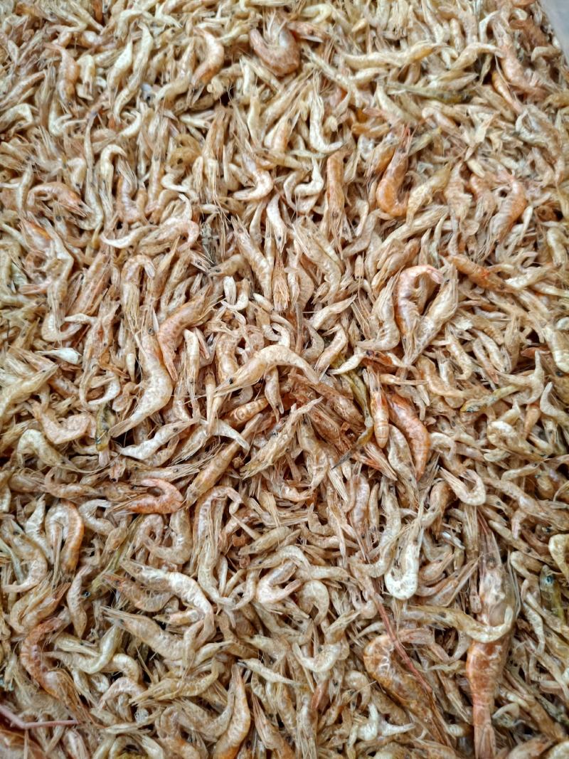 虾干淡水虾干晒虾颜色好干度靓