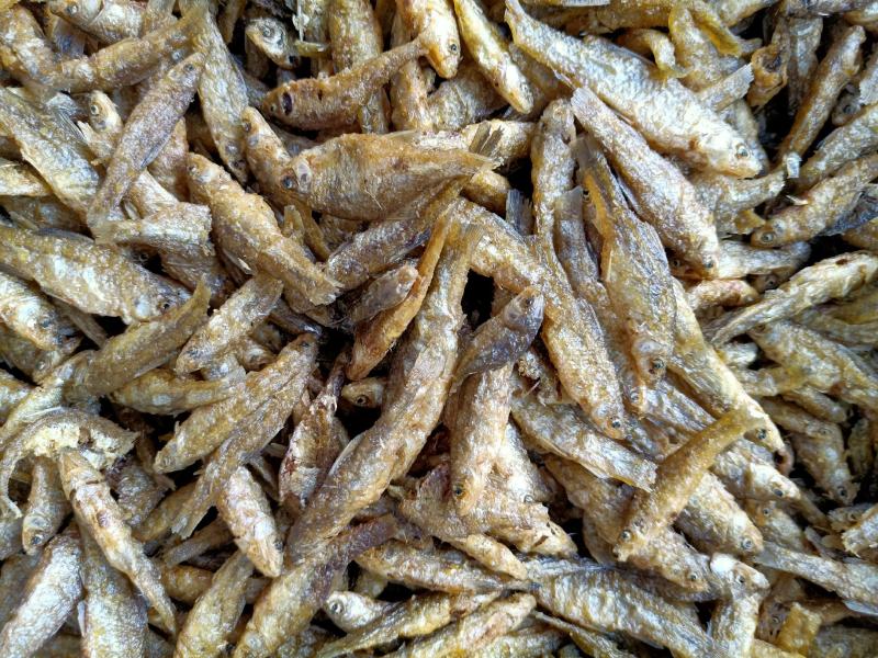 油炸小鱼干油炸麦穗油炸嫩子鱼