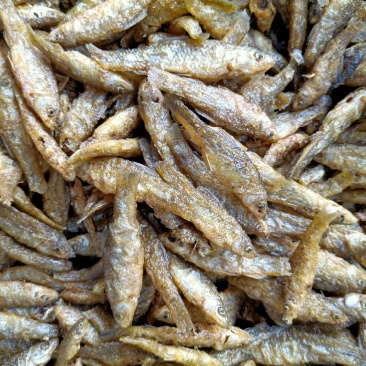 油炸小鱼干油炸麦穗油炸嫩子鱼