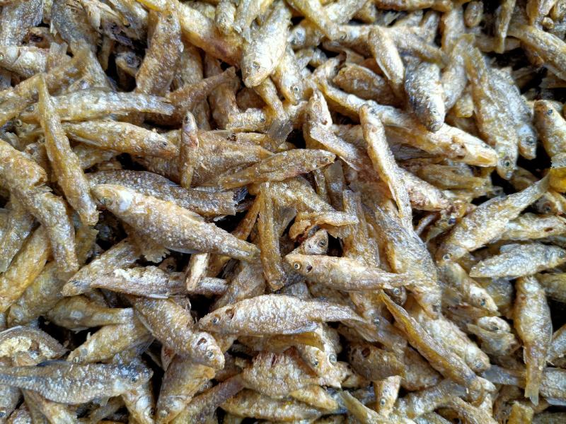 油炸小鱼干油炸麦穗油炸嫩子鱼
