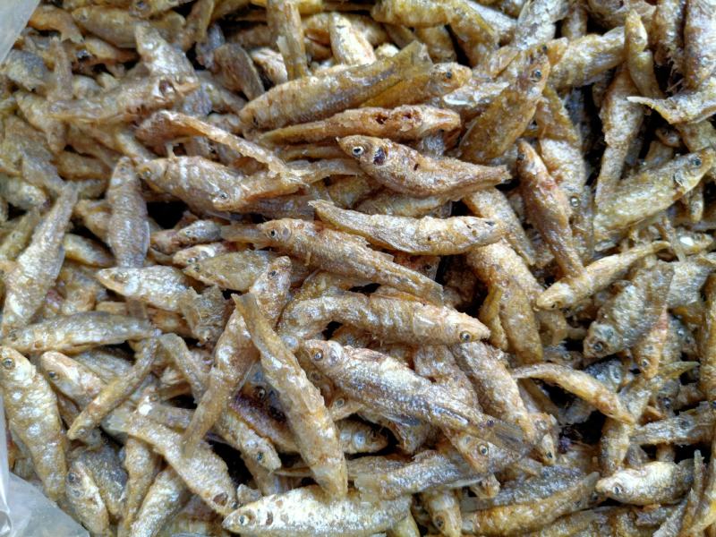 油炸小鱼干油炸麦穗油炸嫩子鱼
