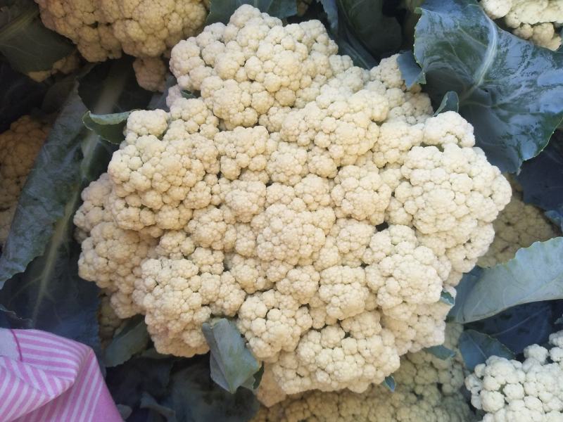 【全国直达】有机花菜青梗松花菜散花菜山东肥城产地直供