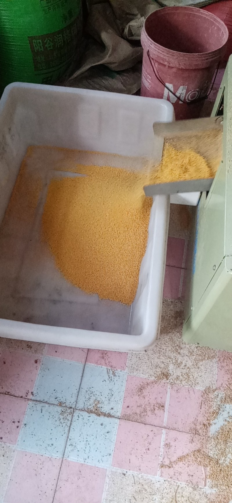 新香小米，有要货的联系