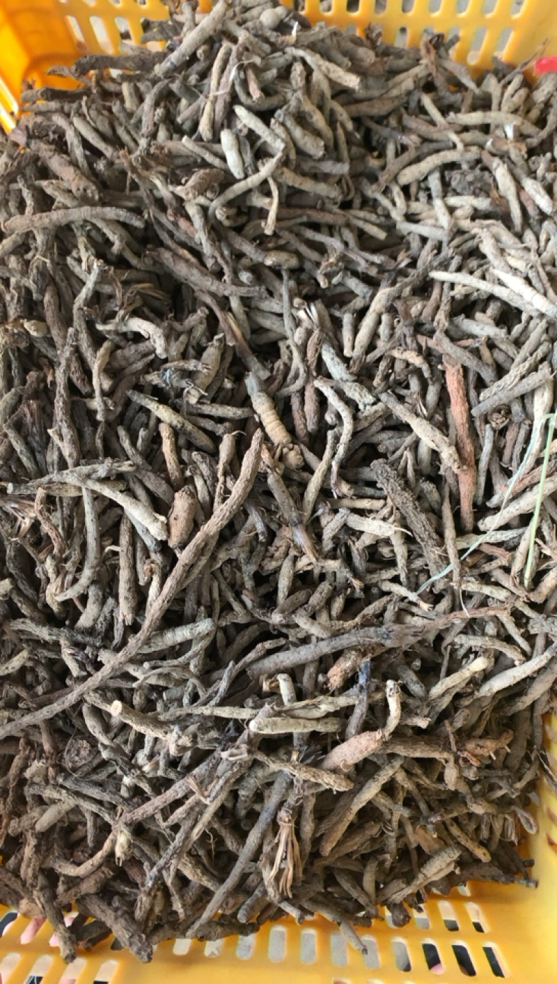 仙茅云南野生仙茅小棕根干货包含量30斤包邮