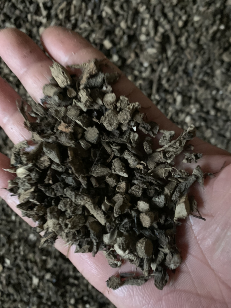 仙茅云南野生仙茅小棕根干货包含量30斤包邮