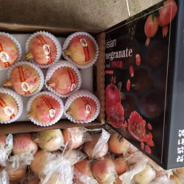 云南蒙自石榴，中秋送礼佳品