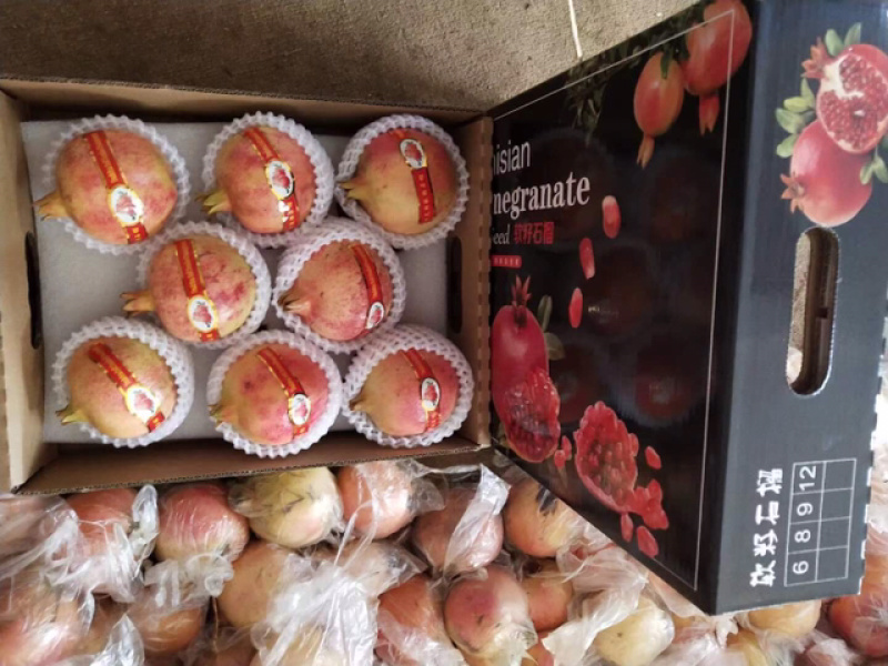 云南蒙自石榴，中秋送礼佳品