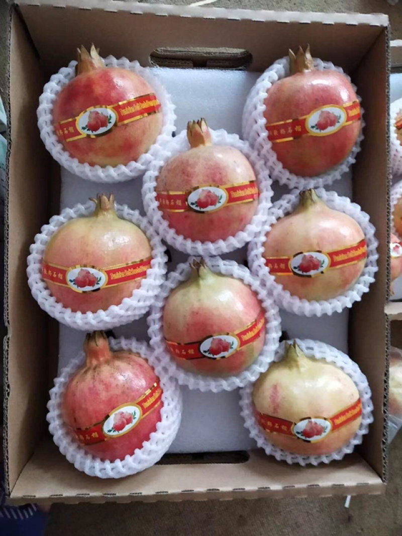 云南蒙自石榴，中秋送礼佳品