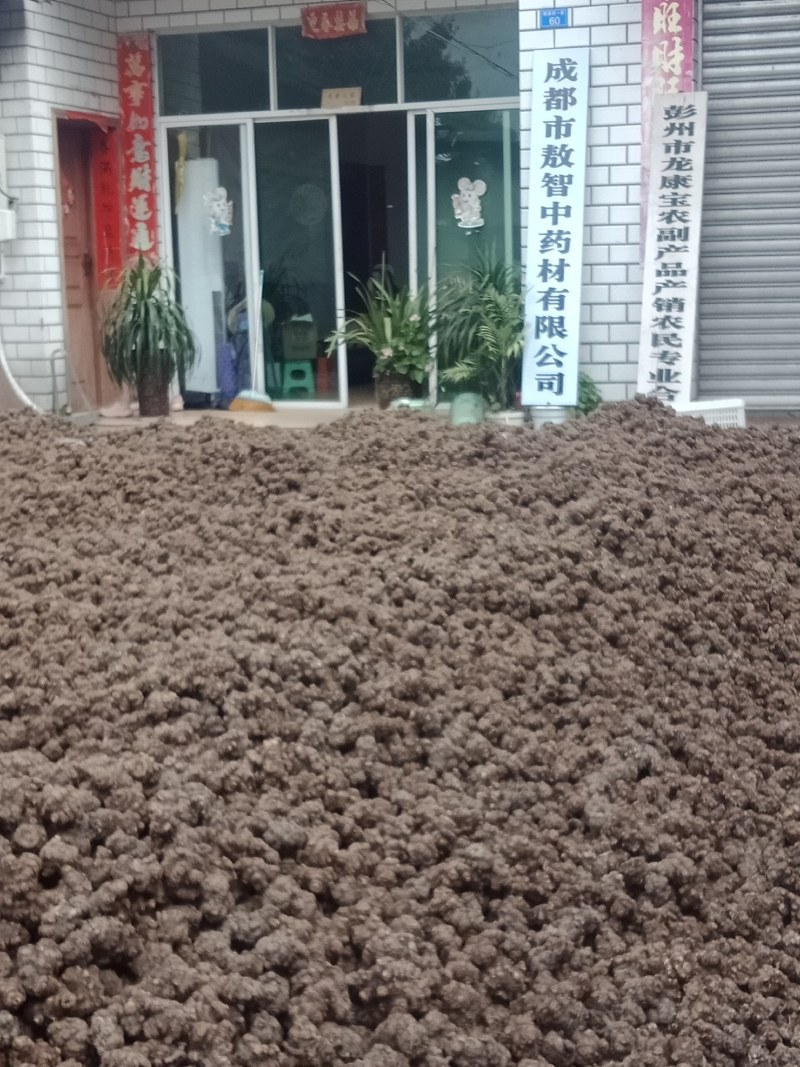 云南文山州地道三七，精选水洗足干有六十头，四十头，三十头