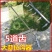 种大蒜神器开沟器起垄播种机耕地耙农用种菜工具家用小型草莓
