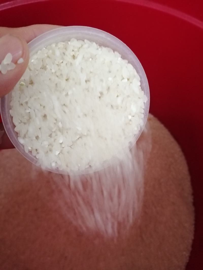 乡下生散装态有机稻谷现磨现卖健康优质稻谷