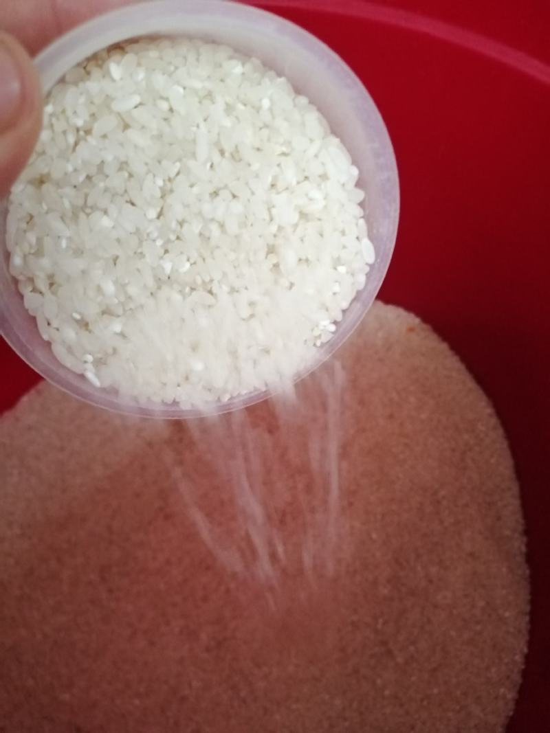 乡下生散装态有机稻谷现磨现卖健康优质稻谷