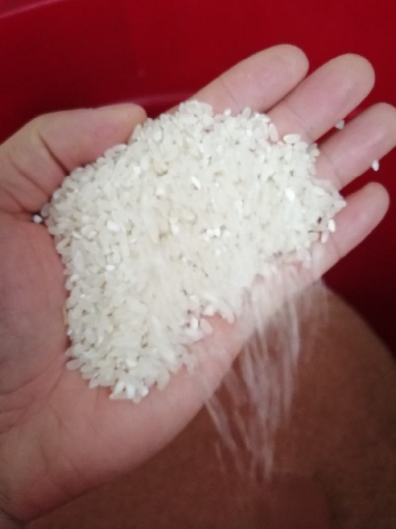 乡下生散装态有机稻谷现磨现卖健康优质稻谷