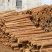 杉木原木收购香衫水杉柳衫2米3米4米加工建筑方料