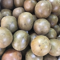 罗汉果大果【包邮】100个起发货各种规格均有货