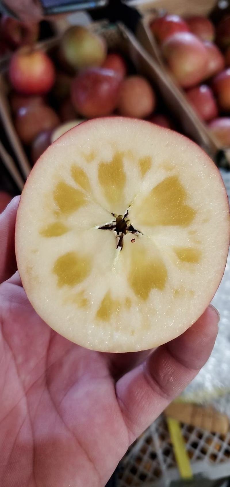 云南糖心丑苹果包邮包售后坏果包赔欢迎来电咨询