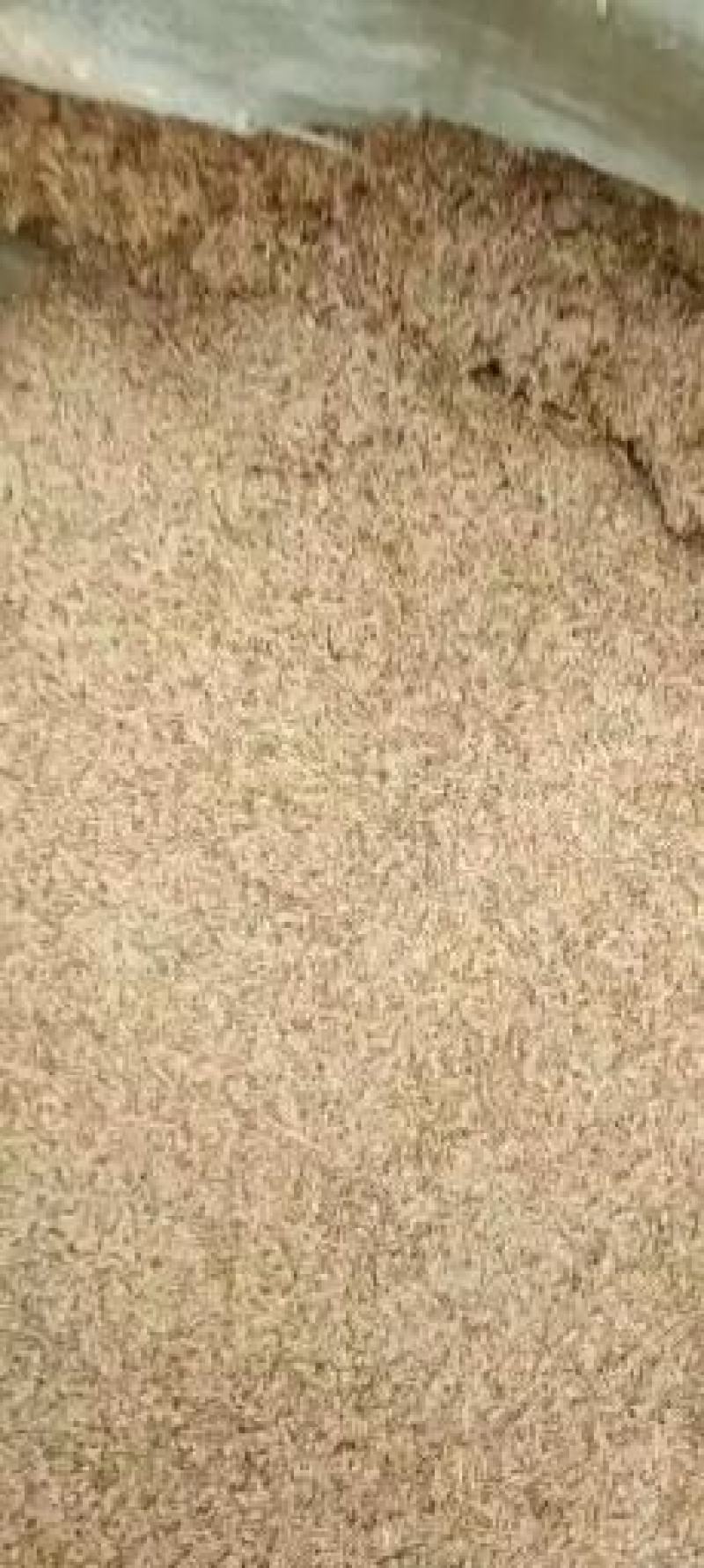 稻壳，压缩块，袋装，大量新稻壳，