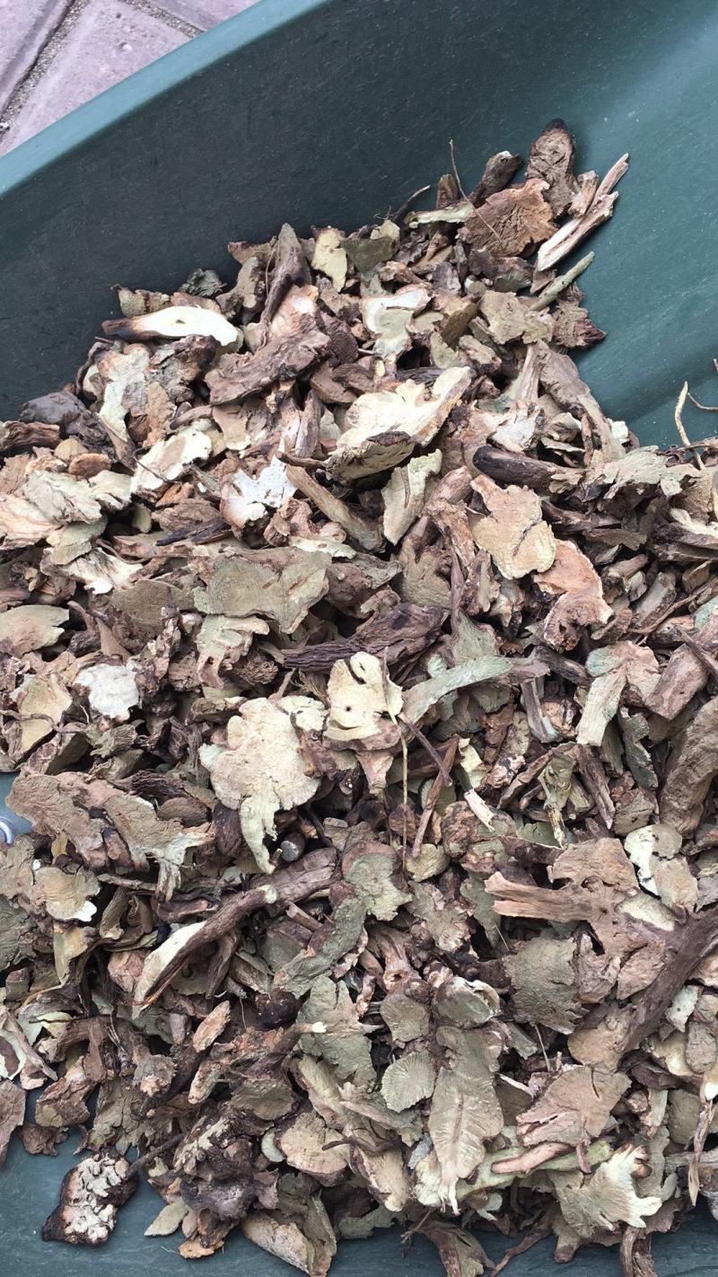 香茶菜铁零角中药材大货供应量大从优物美价廉