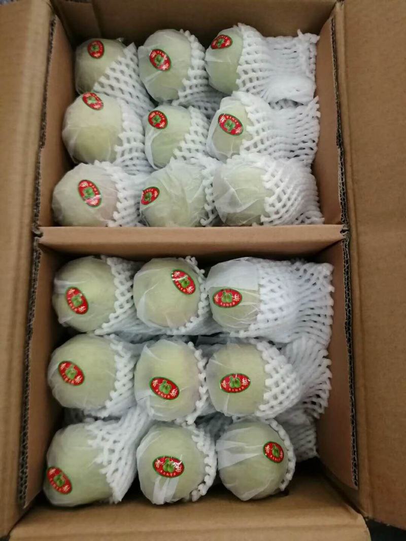 东莞下桥水果市场代卖梨子