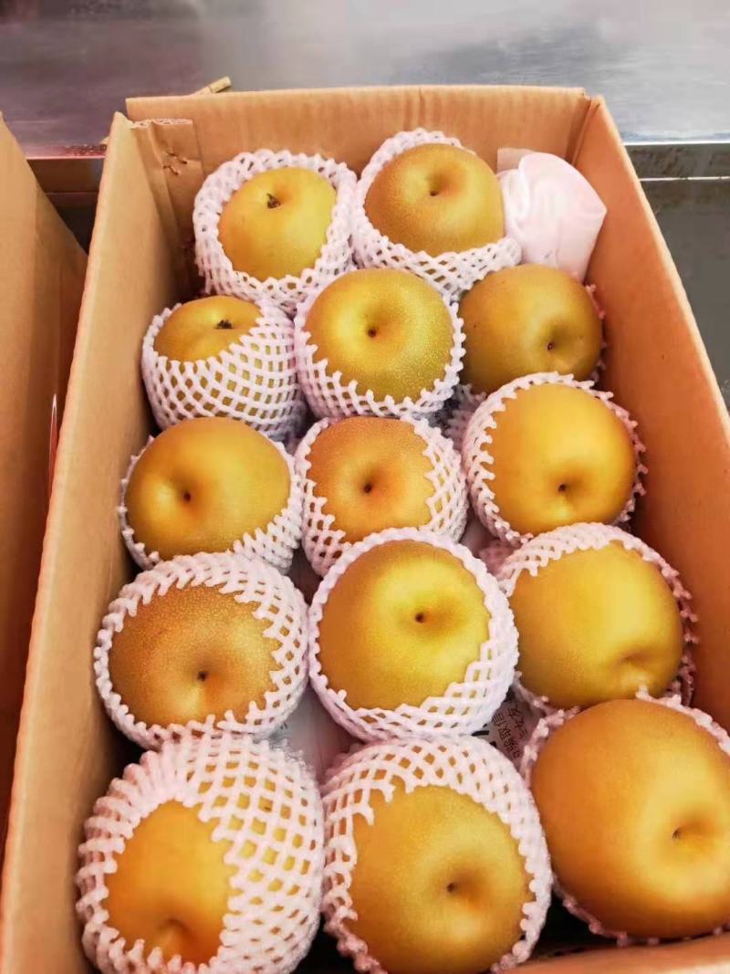 东莞下桥水果市场代卖梨子