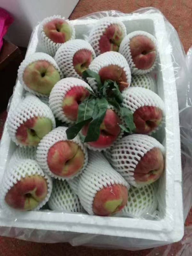 东莞下桥水果市场代卖桃子