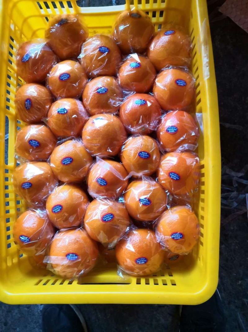 东莞下桥水果市场代卖橙子