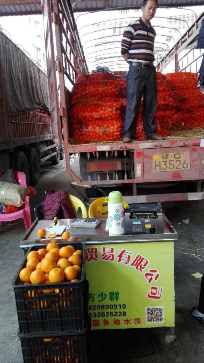 东莞下桥水果市场代卖橙子