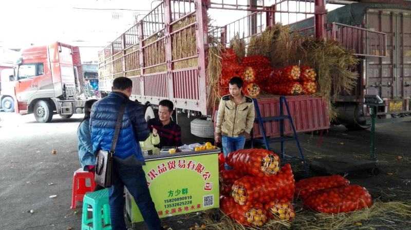 东莞下桥水果市场代卖橙子