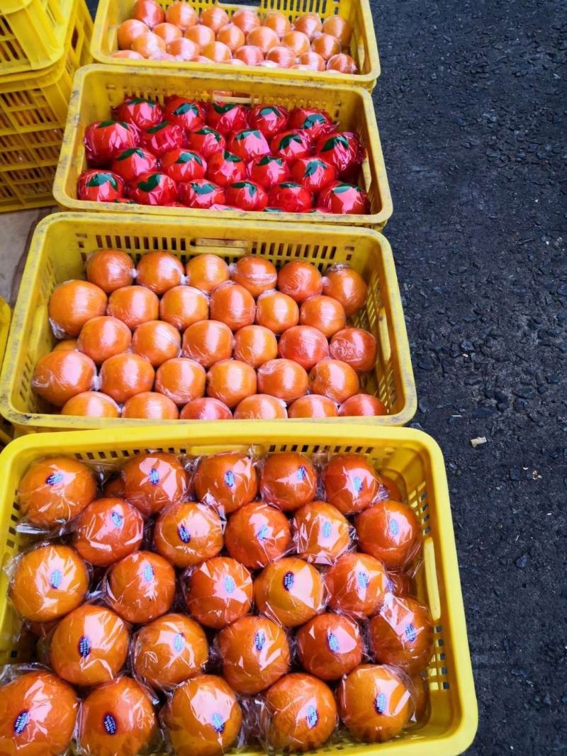 东莞下桥水果市场代卖橙子