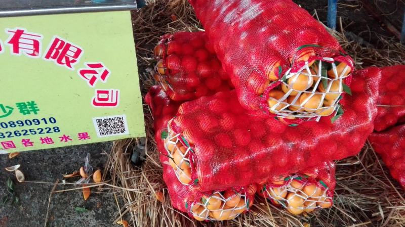 东莞下桥水果市场代卖橙子