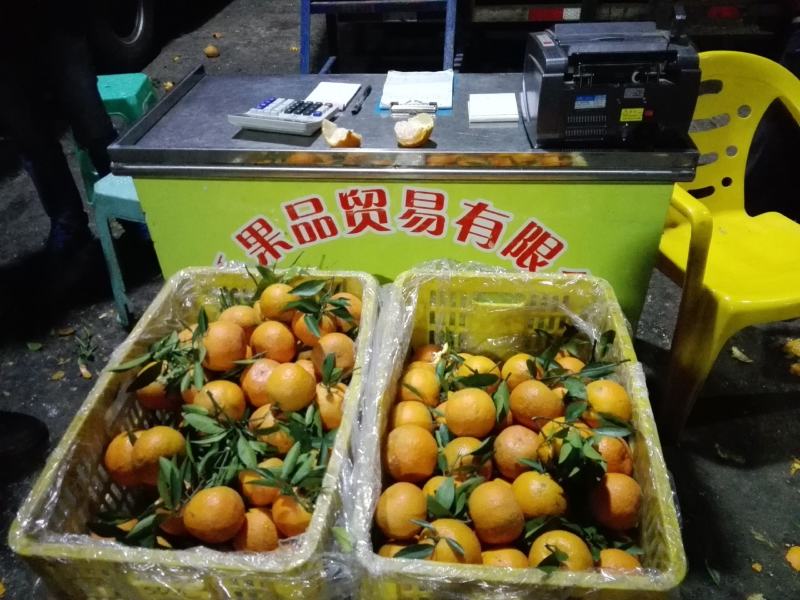 东莞下桥水果市场代卖橙子
