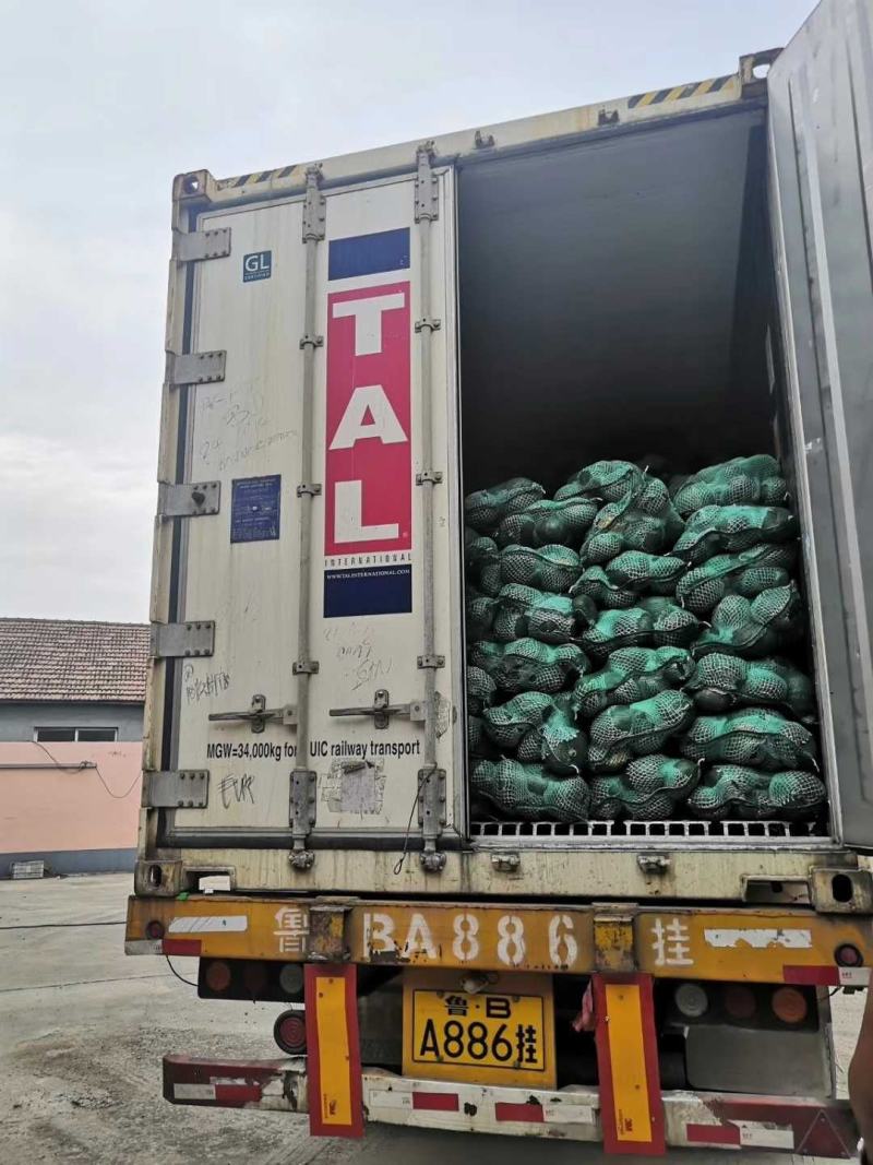 板栗南瓜新板栗味贝贝基地直发电商一件代发进口种源