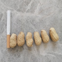 花生，小白沙，产地直供，货源充足，质优价廉