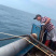 码头新鲜海捕大沙尖鱼批发