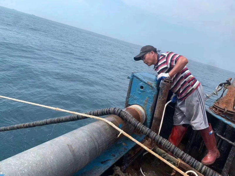 码头新鲜海捕大沙尖鱼批发