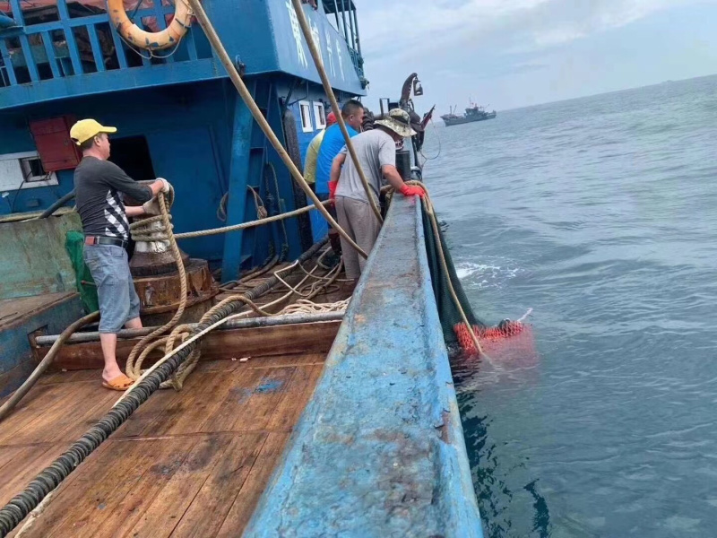 码头新鲜海捕大沙尖鱼批发
