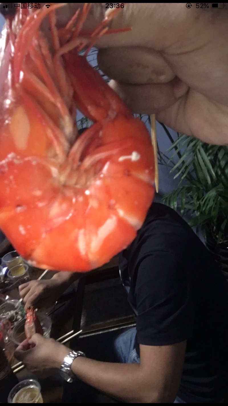 北部湾海捕大花虾码头直供批发
