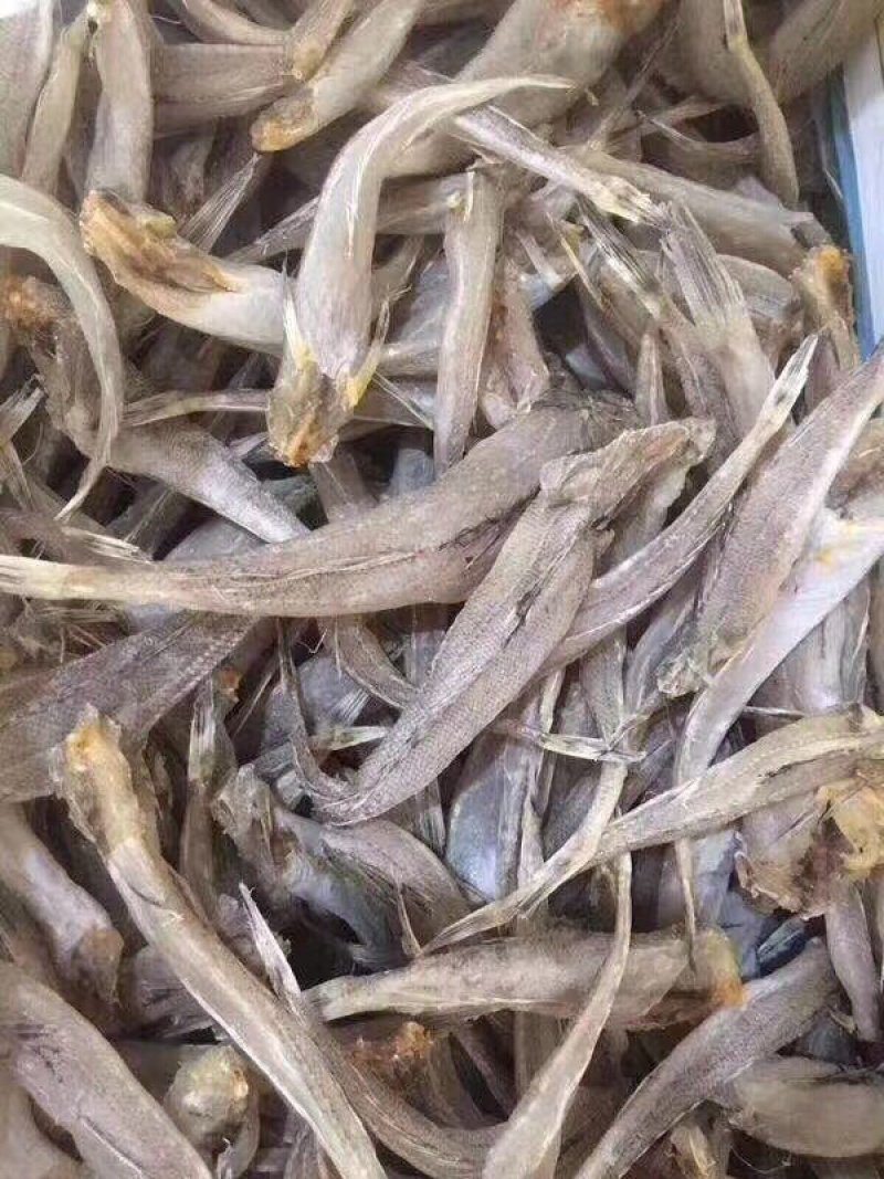 沙丁鱼鱼干干鱼纯干沙丁鱼生晒鱼干