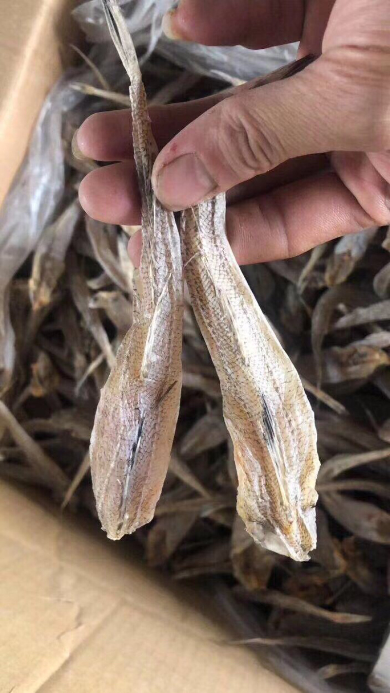 沙丁鱼鱼干干鱼纯干沙丁鱼生晒鱼干