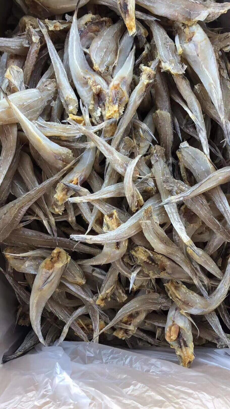 沙丁鱼鱼干干鱼纯干沙丁鱼生晒鱼干