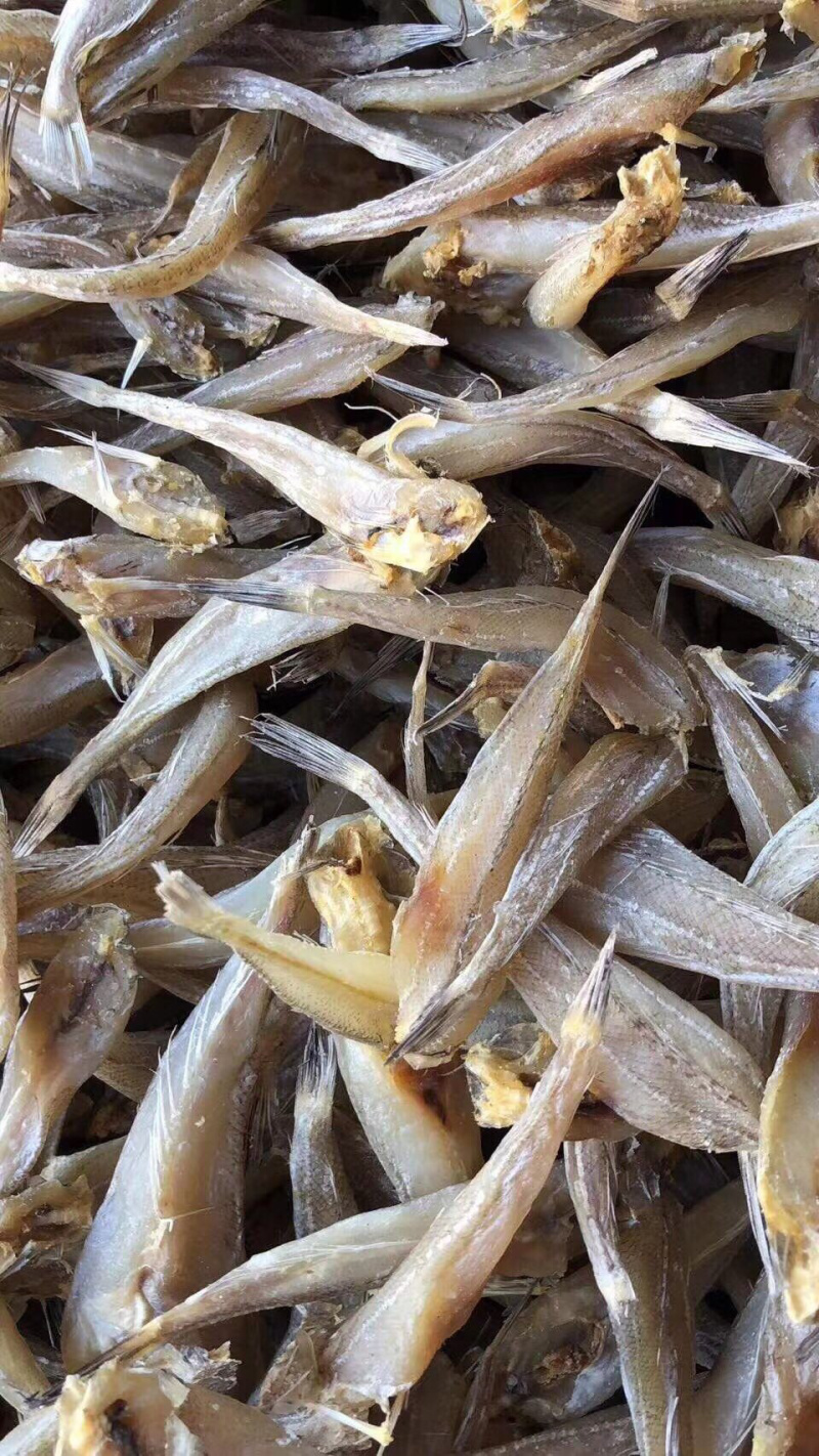 沙丁鱼鱼干干鱼纯干沙丁鱼生晒鱼干