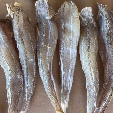 沙丁鱼鱼干干鱼纯干沙丁鱼生晒鱼干