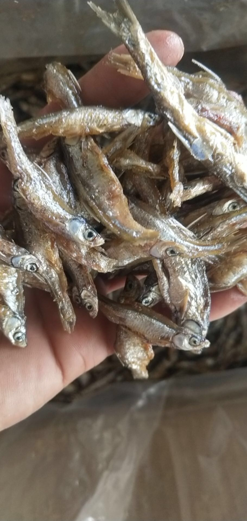 油炸鱼小鱼干鱼干油炸小白条