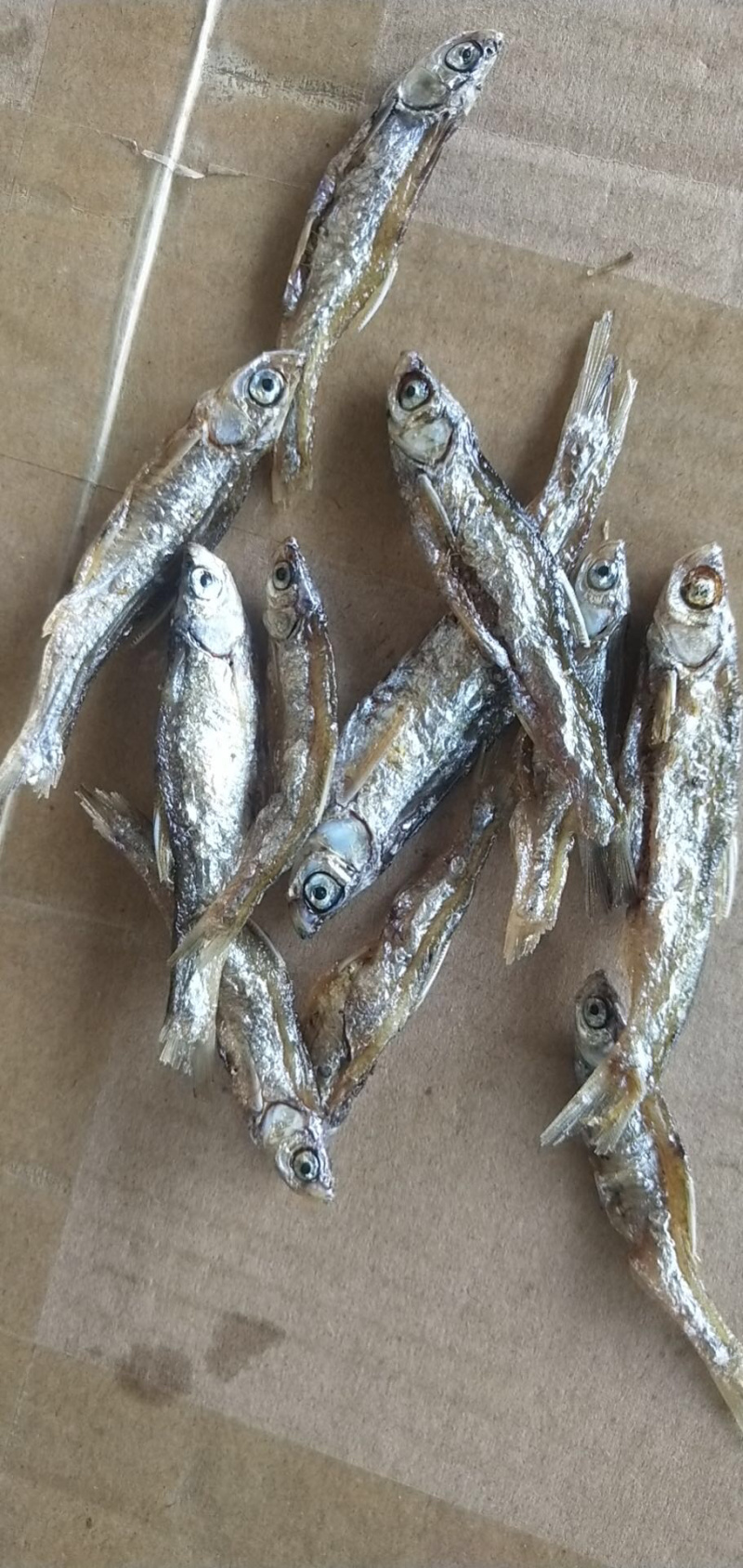 油炸鱼小鱼干鱼干油炸小白条