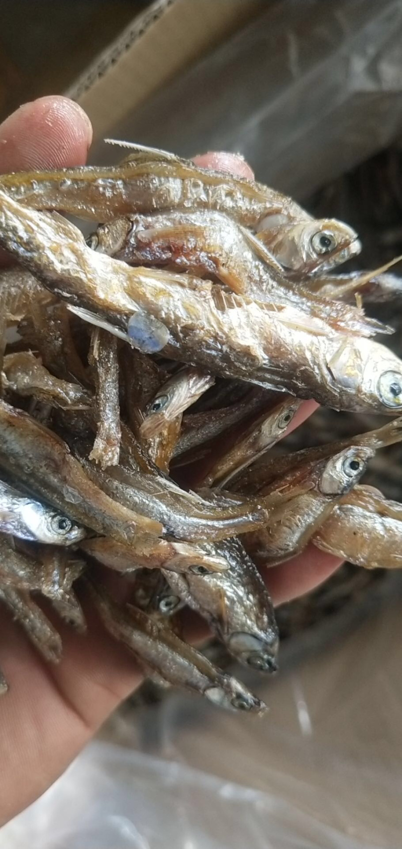 油炸鱼小鱼干鱼干油炸小白条