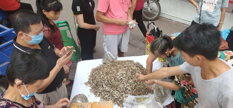 油炸鱼小鱼干鱼干油炸小白条