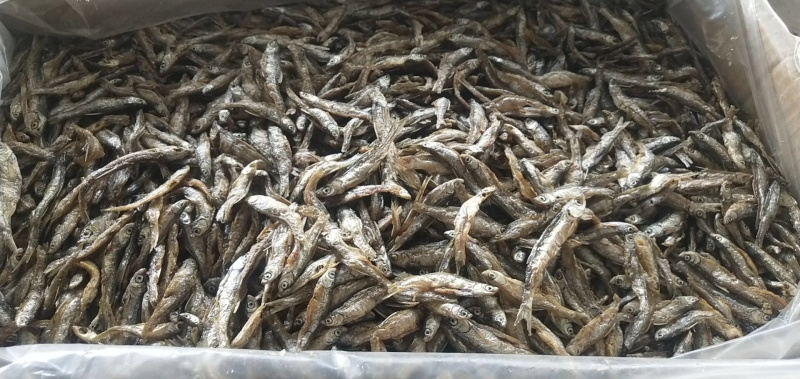 油炸鱼小鱼干鱼干油炸小白条