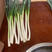 大葱（晚抽大葱，葱白20～30），可做净葱。